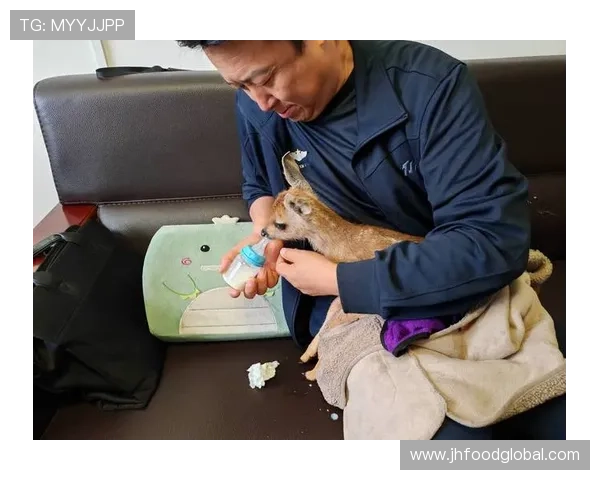 小鹿伤未愈仍能助队 三黄停赛规则受争议 小鹿伤未愈仍能助队 三黄停赛规则受争议